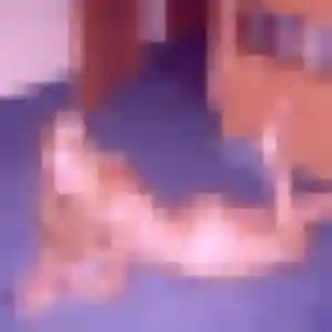 Photo sexy de Leïla, 33 ans à Saint-Amans-Soult - rencontre coquine
