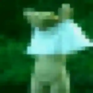 Photo exclusive de Mariame, 41 ans à Saint-Amarin - rencontre sans lendemain