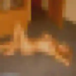 Rosalie, fille de 24 ans cherche plan cul à Saint-André-de-la-Roche