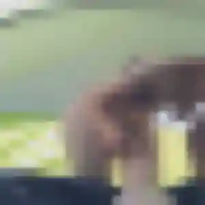 Anaïs (35 ans) à Saint-Anthème propose une rencontre rapidement