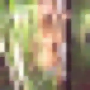 Gladys, femme de 33 ans cherche plan cul à Saint-Aubin-de-Terregatte