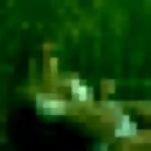 Photo de Mame à Saint-Aubin-sur-Quillebeuf (36 ans) - plan cul discret