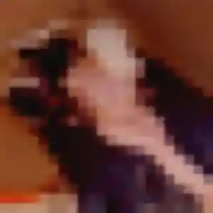 Photo privée de Faustine, 39 ans à Saint-Augustin-des-Bois - rencontre sans lendemain
