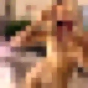 Tessa, fille de 36 ans cherche plan cul à Saint-Briac-sur-Mer