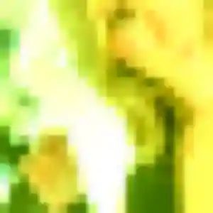 Photo privée de Deborah, 29 ans à Saint-Cast-le-Guildo - plan discret