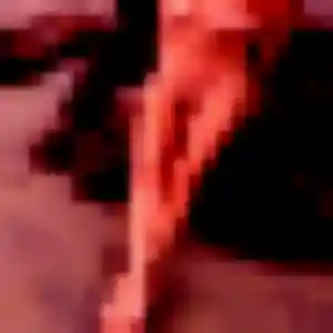 Photo exclusive de Affoué, 35 ans à Saint-Célerin - rencontre sans lendemain