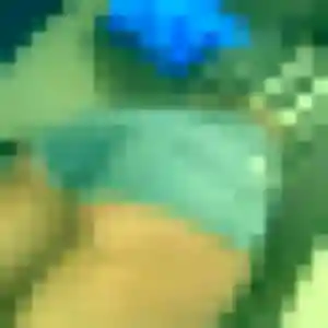 Photo perso de Aida, 34 ans à Saint-Christophe-de-Double - rencontre coquine
