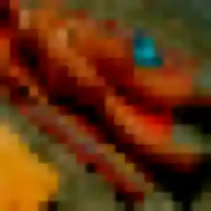 Sexy Shérazade, 45 ans à Saint-Claud - la contacter