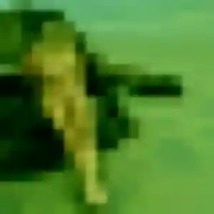 plan cul à Saint-Clément-les-Places : profil de Maguette, 34 ans - sans engagement