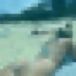 Nadège (43 ans) à Saint-Éloi cherche une rencontre ce soir