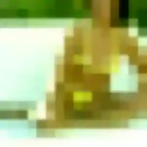 Malika, 34 ans, connectée à Saint-Féliu-d'Amont pour une rencontre coquine