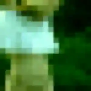 Photo sexy de Malika, 33 ans à Saint-Germain-des-Bois - rencontre sans lendemain
