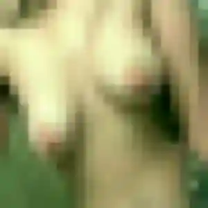 Photo de Éléonore à Saint-Germain-du-Corbéis (22 ans) - plan cul gratuit