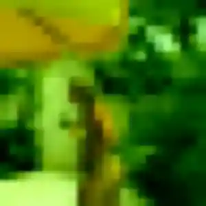 Jumoke, 39 ans, connectée à Saint-Germain-du-Teil pour une rencontre coquine