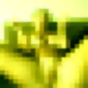 Photo de Faustine à Saint-Germain-Laval (43 ans) - plan cul sans inscription