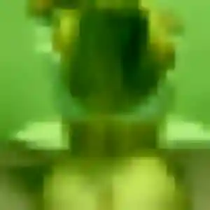 Photo de Noémie à Saint-Hilaire-la-Forêt (41 ans) - plan cul discret
