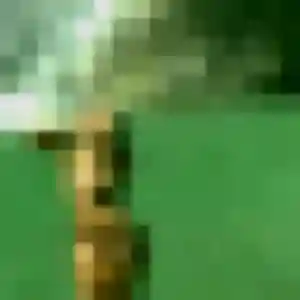 plan cul à Saint-Hippolyte : photo de Soline, 36 ans - accès libre