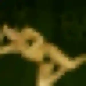 Profil de Astou à Saint-Hippolyte-du-Fort (23 ans) - plan cul gratuit