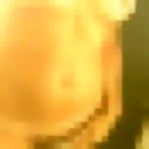 Photo de Adwoa à Saint-Jean-du-Falga (34 ans) - plan cul sans inscription