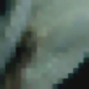 Hélène, 40 ans, dispo pour plan cul à Saint-Jean-Kerdaniel