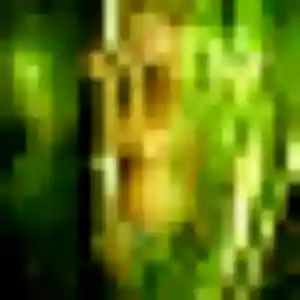 Kaddy de Saint-Joseph, 45 ans - plan cul sans lendemain