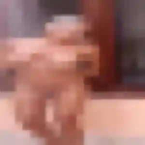 Rejoins Stacy, 38 ans à Saint-Jouin-Bruneval en privé