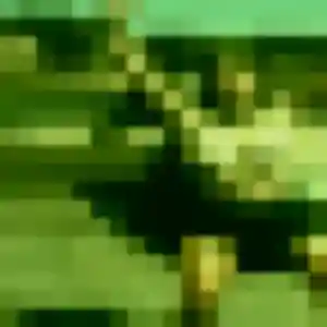 Photo exclusive de Dorothée, 38 ans à Saint-Jouvent - plan discret