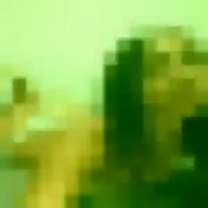 Photo privée de Célestine, 27 ans à Saint-Julien-sur-Sarthe - rencontre coquine