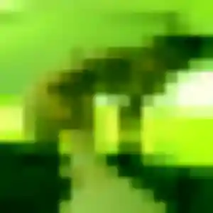 Photo de Precious à Saint-Léonard (33 ans) - plan cul sans inscription