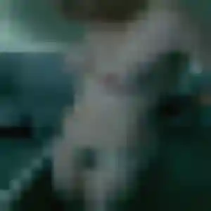 Profil de Bousso à Saint-Louis (42 ans) - plan cul sans inscription