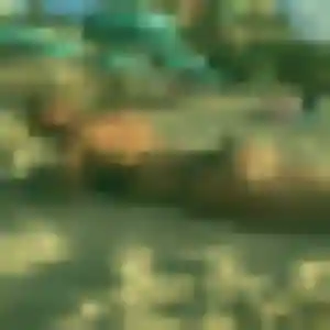 Dieynaba, 41 ans, cherche un plan cul à Saint-Louis