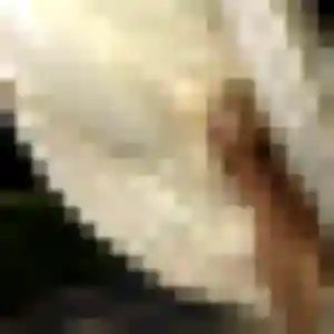 Photo de Amani à Saint-Mammès (42 ans) - plan cul gratuit