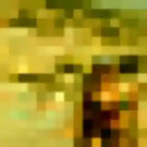 Belle Grace, 31 ans à Saint-Mars-du-Désert - découvrir son profil