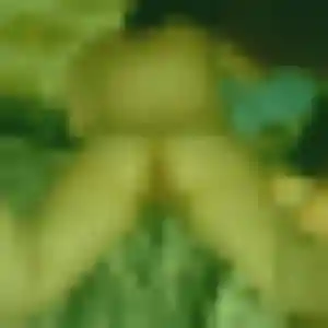 Bigué, 38 ans, disponible à Saint-Martin-Osmonville pour une rencontre coquine