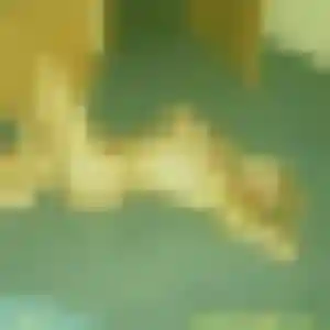 Photo sexy de Yvette, 42 ans à Saint-Martin-sur-le-Pré - rencontre coquine
