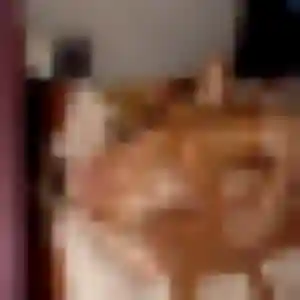 Profil de Nicole à Saint-Mexant (24 ans) - plan cul gratuit
