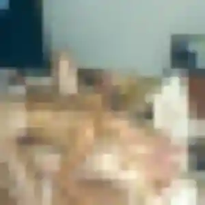 Photo de Sokhna à Saint-Nicolas-d'Aliermont (41 ans) - plan cul discret