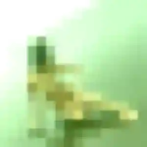 Photo exclusive de Constance, 28 ans à Saint-Paterne-Racan - rencontre coquine