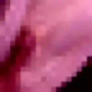 Profil de Precious à Saint-Pavace (30 ans) - plan cul sans inscription