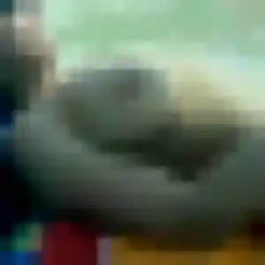 Photo exclusive de Georgette, 29 ans à Saint-Philbert-de-Grand-Lieu - plan discret