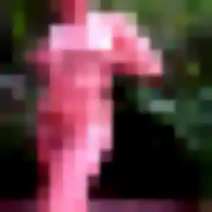 Astou, 43 ans, connectée à Saint-Philbert-sur-Risle pour une rencontre coquine