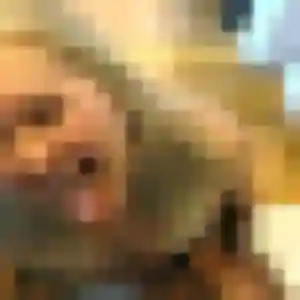 Photo de Pénélope à Saint-Piat (22 ans) - plan cul anonyme