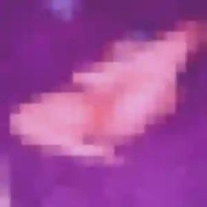 Ophélie, 45 ans, en ligne à Saint-Pierre-en-Val pour une rencontre coquine