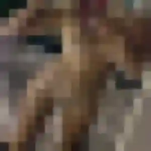 Charmante Tessa, 31 ans à Saint-Rémy-de-la-Vanne - découvrir son profil