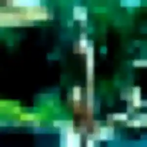 Diouma (26 ans) à Saint-Remy-du-Nord cherche un plan cul ce soir