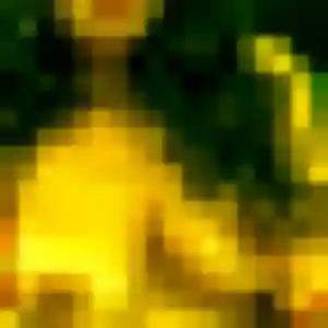 Sékou (26 ans) à Saint-Romain-les-Atheux propose un plan cul aujourd'hui