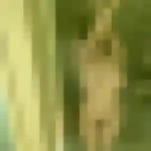 Photo privée de Akinyi, 35 ans à Saint-Sauvant - rencontre coquine