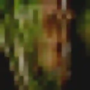 Photo de Aurore à Saint-Savin (29 ans) - plan cul sans inscription