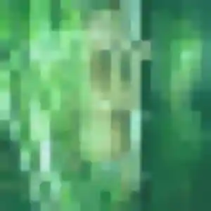 Profil de Oulimata à Saint-Sulpice-sur-Risle (33 ans) - plan cul discret