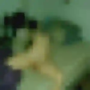 Photo de Éléonore à Saint-Théoffrey (29 ans) - plan cul sans inscription